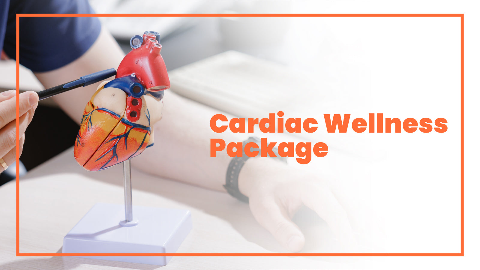 Cardiac Wellness Package