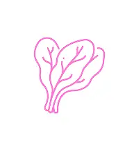 Item 1